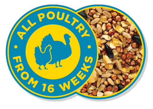 Poultry 16 Weeks