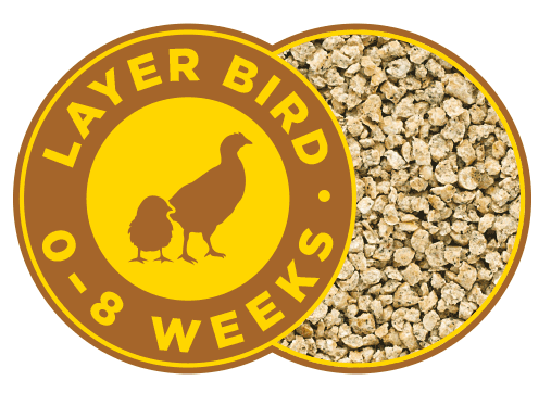 Layer Bird 0-8 Weeks