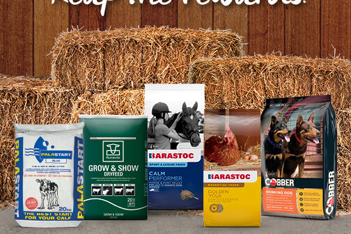 RID18413_RIDLEY_REWARDS_PROGRAM_FBTILE_504x504px-FA-002