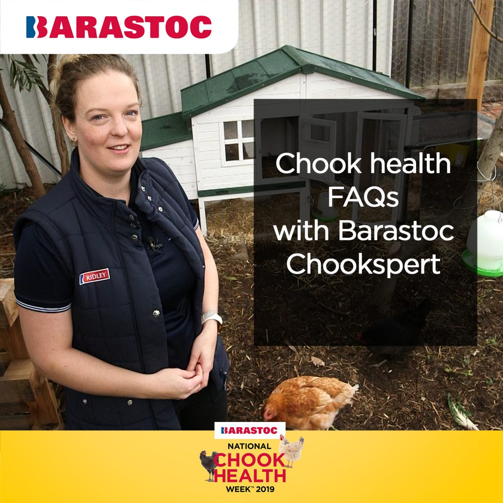 Barastoc Poultry’s Elise Davine answers common questions backyard chook owners often ask her.