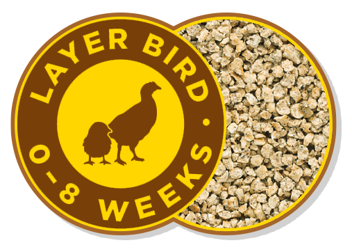 Layer Bird 0-8 Weeks