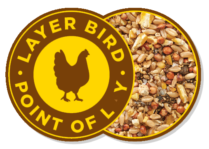layer-bird-everyday-layer-top1